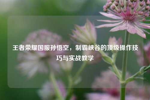 王者荣耀国服孙悟空，制霸峡谷的顶级操作技巧与实战教学