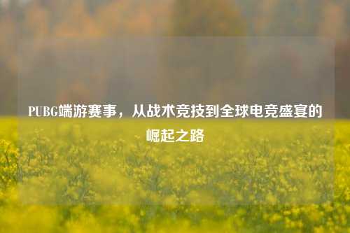 PUBG端游赛事，从战术竞技到全球电竞盛宴的崛起之路