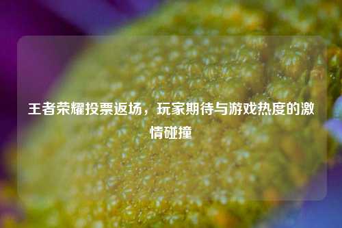 王者荣耀投票返场，玩家期待与游戏热度的激情碰撞