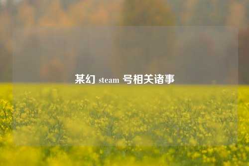 某幻 steam 号相关诸事