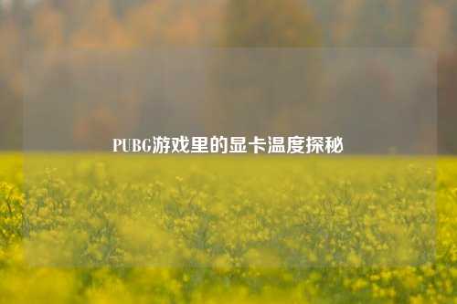 PUBG游戏里的显卡温度探秘
