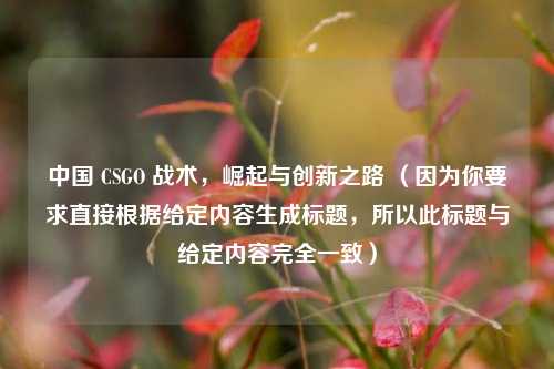 中国 CSGO 战术，崛起与创新之路 （因为你要求直接根据给定内容生成标题，所以此标题与给定内容完全一致）
