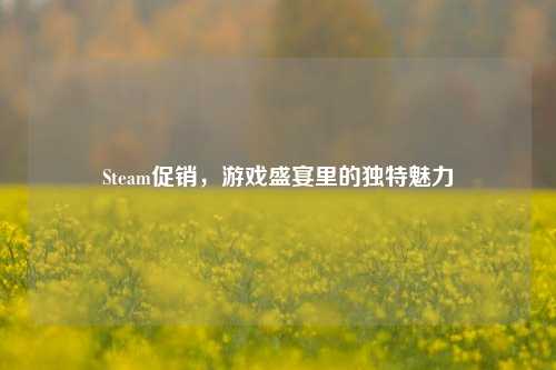 Steam促销，游戏盛宴里的独特魅力