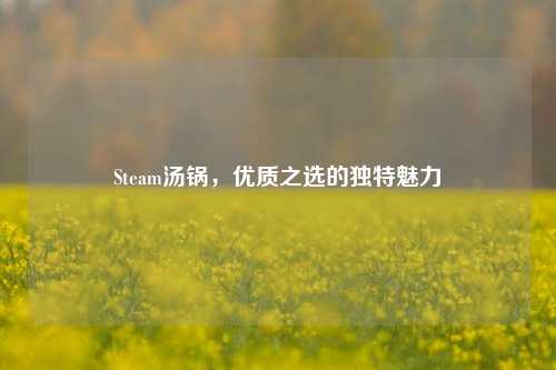 Steam汤锅，优质之选的独特魅力