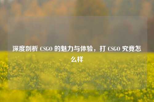 深度剖析 CSGO 的魅力与体验，打 CSGO 究竟怎么样