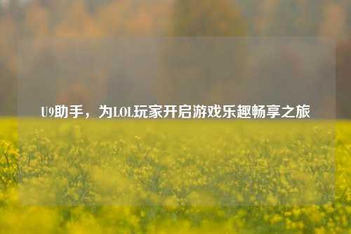 U9助手，为LOL玩家开启游戏乐趣畅享之旅