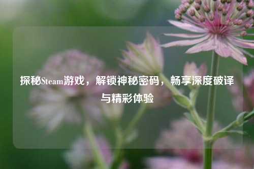 探秘Steam游戏，解锁神秘密码，畅享深度破译与精彩体验