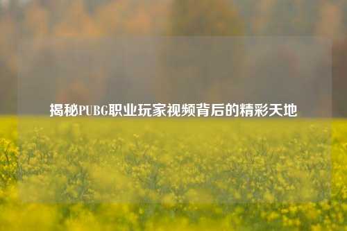 揭秘PUBG职业玩家视频背后的精彩天地