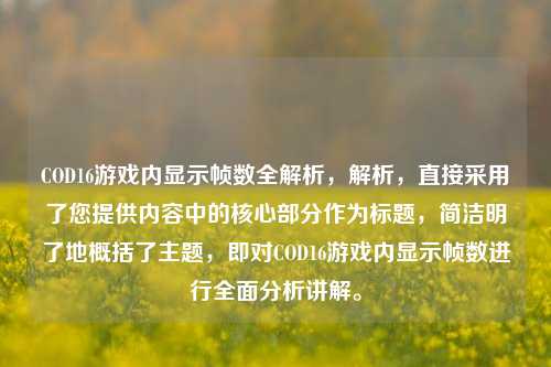 COD16游戏内显示帧数全解析，解析，直接采用了您提供内容中的核心部分作为标题，简洁明了地概括了主题，即对COD16游戏内显示帧数进行全面分析讲解。