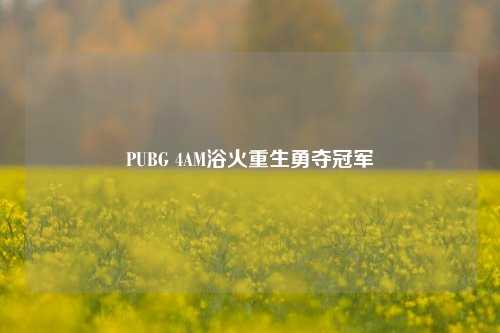 PUBG 4AM浴火重生勇夺冠军