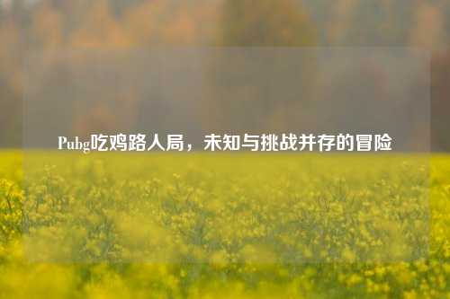 Pubg吃鸡路人局，未知与挑战并存的冒险