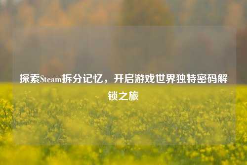 探索Steam拆分记忆，开启游戏世界独特密码解锁之旅