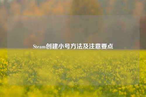 Steam创建小号方法及注意要点