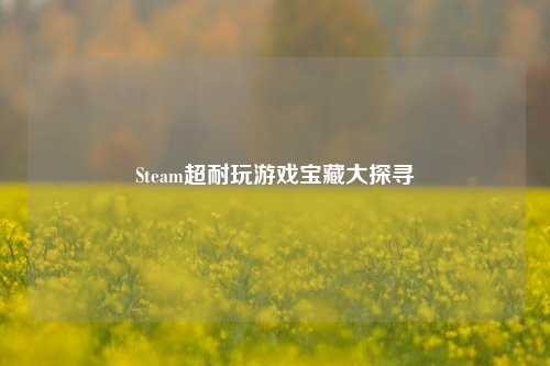 Steam超耐玩游戏宝藏大探寻