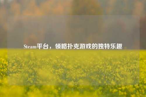Steam平台，领略扑克游戏的独特乐趣