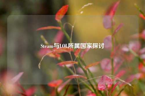 Steam与LOL所属国家探讨