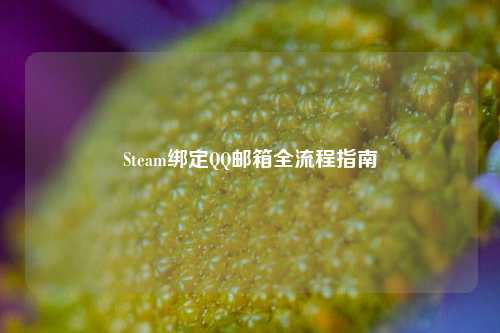 Steam绑定QQ邮箱全流程指南