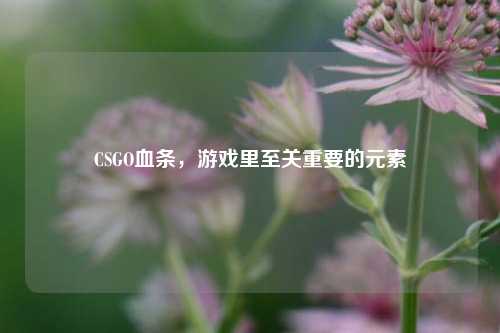 CSGO血条，游戏里至关重要的元素
