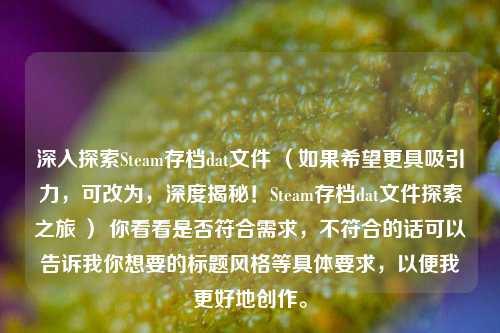 深入探索Steam存档dat文件 （如果希望更具吸引力，可改为，深度揭秘！Steam存档dat文件探索之旅 ） 你看看是否符合需求，不符合的话可以告诉我你想要的标题风格等具体要求，以便我更好地创作。