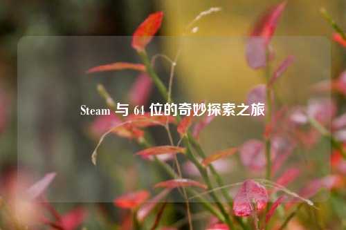 Steam 与 64 位的奇妙探索之旅