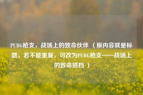 PUBG枪支，战场上的致命伙伴 （原内容就是标题，若不能重复，可改为PUBG枪支——战场上的致命搭档 ）