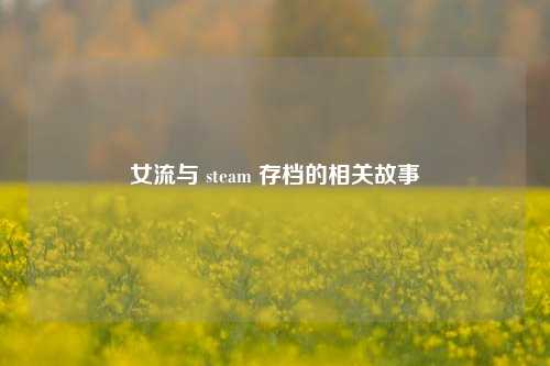 女流与 steam 存档的相关故事