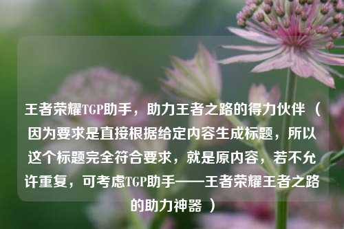 王者荣耀TGP助手，助力王者之路的得力伙伴 （因为要求是直接根据给定内容生成标题，所以这个标题完全符合要求，就是原内容，若不允许重复，可考虑TGP助手——王者荣耀王者之路的助力神器 ）