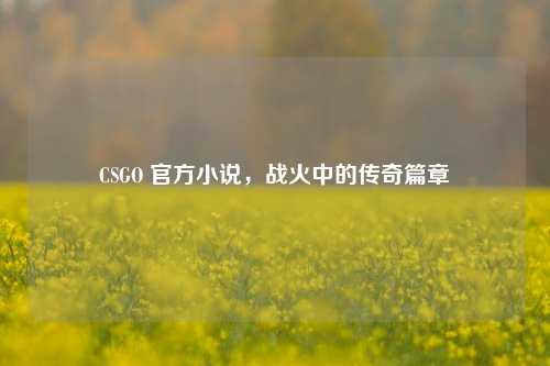 CSGO 官方小说，战火中的传奇篇章