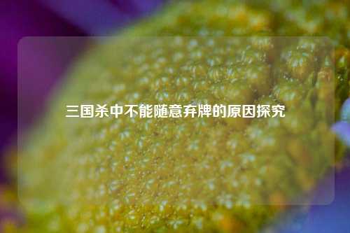 三国杀中不能随意弃牌的原因探究
