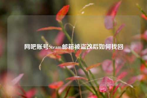 网吧账号Steam邮箱被盗改后如何找回