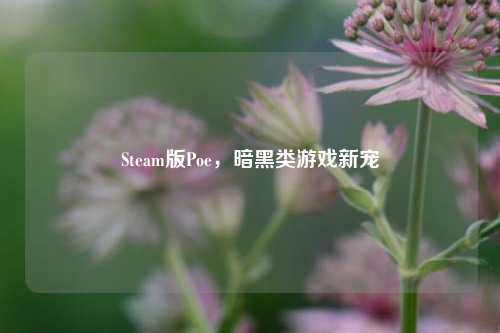 Steam版Poe，暗黑类游戏新宠