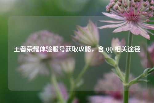 王者荣耀体验服号获取攻略，含 QQ 相关途径