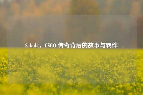 Sakula,CSGO 传奇背后的故事与羁绊
