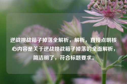 逆战挑战箱子掉落全解析，解析，直接点明核心内容是关于逆战挑战箱子掉落的全面解析，简洁明了，符合标题要求。