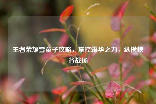 王者荣耀雪童子攻略，掌控霜华之力，纵横峡谷战场