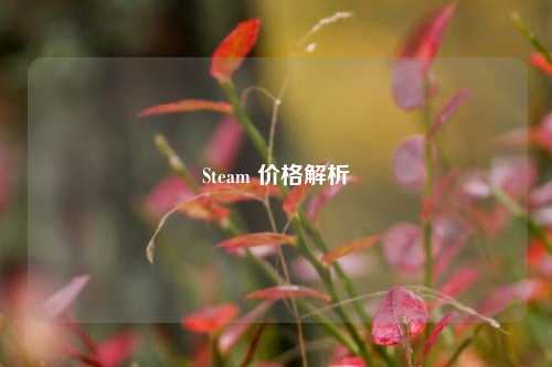 Steam 价格解析