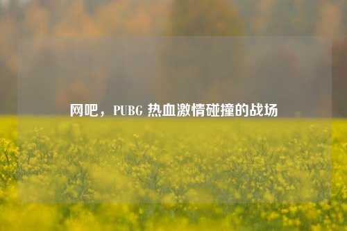 网吧，PUBG 热血激情碰撞的战场