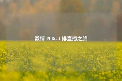 激情 PUBG 4 排直播之旅