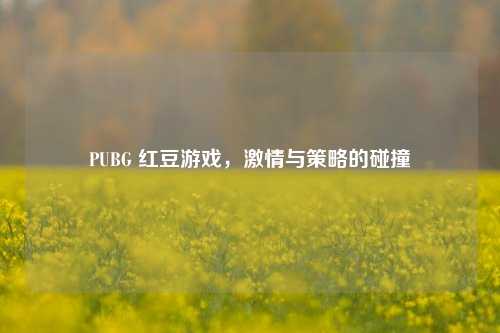 PUBG 红豆游戏，激情与策略的碰撞