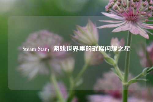 Steam Star，游戏世界里的璀璨闪耀之星