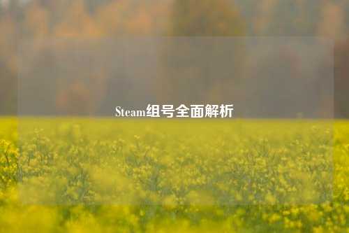 Steam组号全面解析