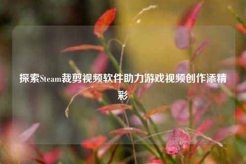 探索Steam裁剪视频软件助力游戏视频创作添精彩