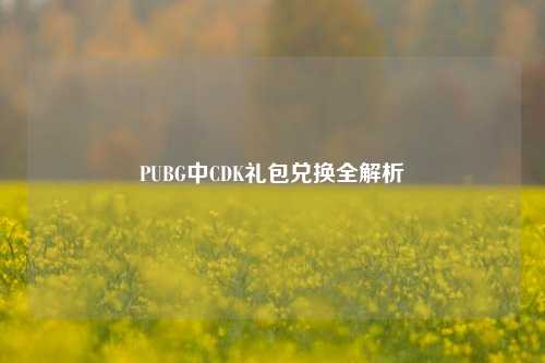 PUBG中CDK礼包兑换全解析