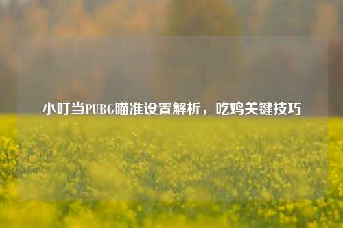 小叮当PUBG瞄准设置解析，吃鸡关键技巧