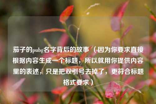 茄子的pubg名字背后的故事 （因为你要求直接根据内容生成一个标题，所以就用你提供内容里的表述，只是把双引号去掉了，更符合标题格式要求）