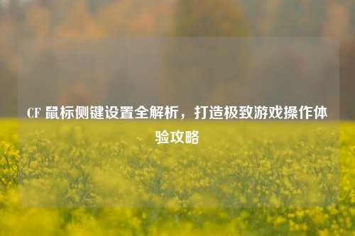 CF 鼠标侧键设置全解析，打造极致游戏操作体验攻略