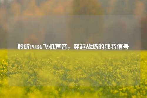 聆听PUBG飞机声音，穿越战场的独特信号