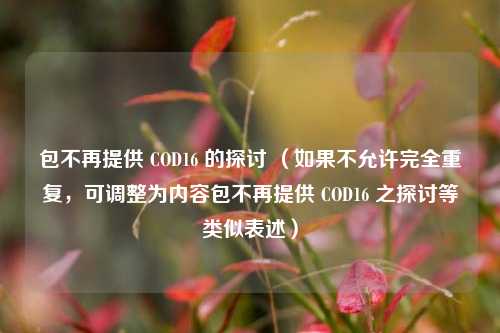 包不再提供 COD16 的探讨 （如果不允许完全重复，可调整为内容包不再提供 COD16 之探讨等类似表述）