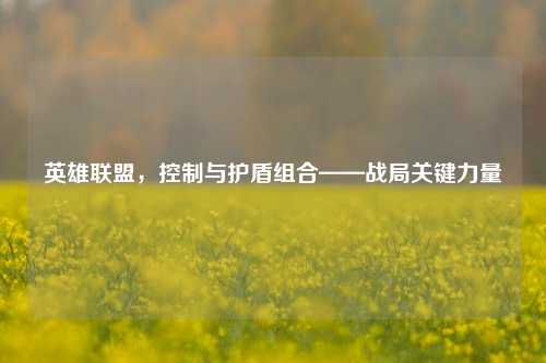 英雄联盟，控制与护盾组合——战局关键力量