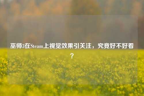 巫师3在Steam上视觉效果引关注，究竟好不好看？